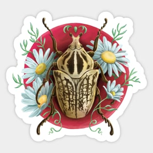 Insects and flowers: Goliat Beetle Sticker